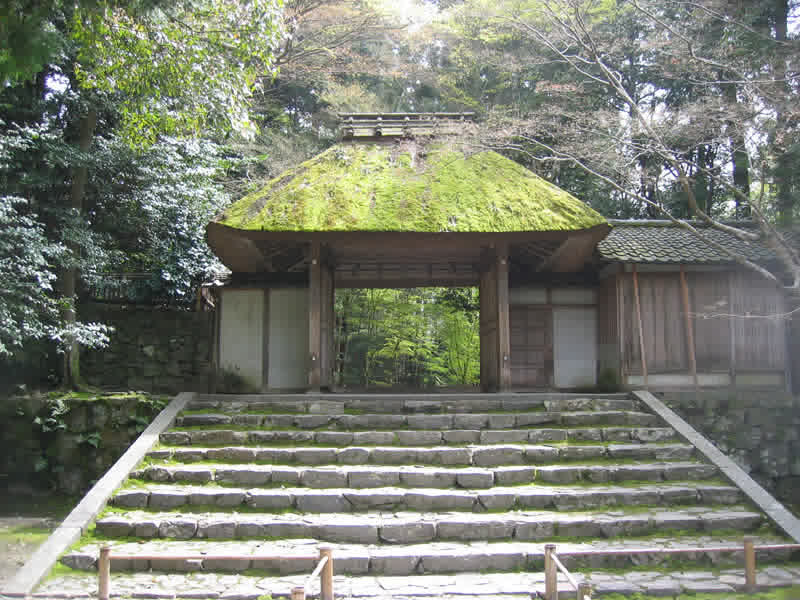 The moss-covered thatched gate of Hōnen-in temple, set among trees